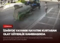 news card 2d733d0f374298cf