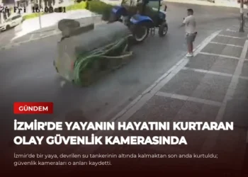 news card 2d733d0f374298cf