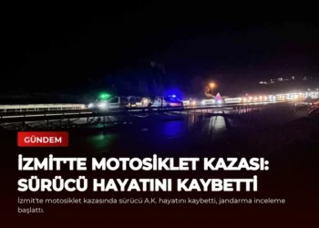 news card 2e4a42163b2a894f