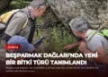 news card 2e52d2299470c771