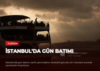 news card 2f5612f79f3ea351