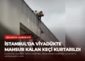news card 3417bd154c519c81