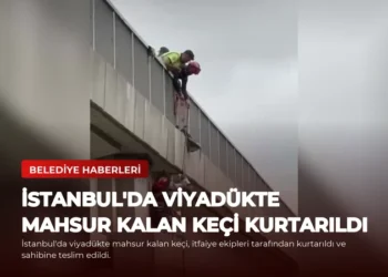 news card 3417bd154c519c81