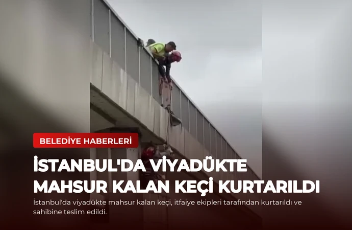 news card 3417bd154c519c81