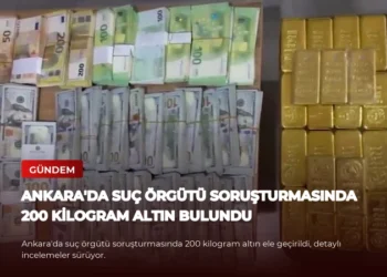 news card 37248a063d53b1b1