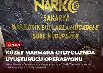 news card 37878cc2781a03c7