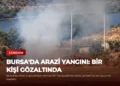 news card 390c022ea0776fc2