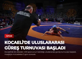 news card 3b30981f254dbaf8