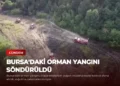 news card 41352dbc48962717