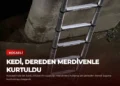 news card 427de9729d614b8d