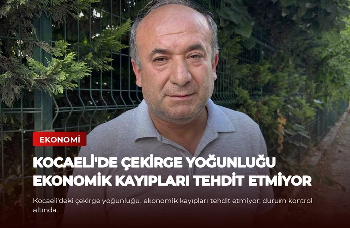 news card 44f0f11a66053281