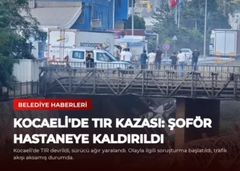 news card 4543a55de60408a8