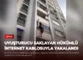 news card 456e06a2270661ad