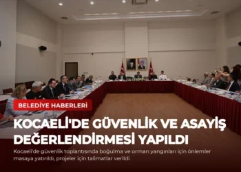 news card 4c52f68636f2ee54