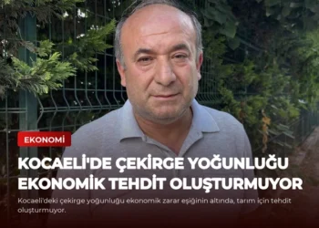 news card 5139ebec090ebe7f