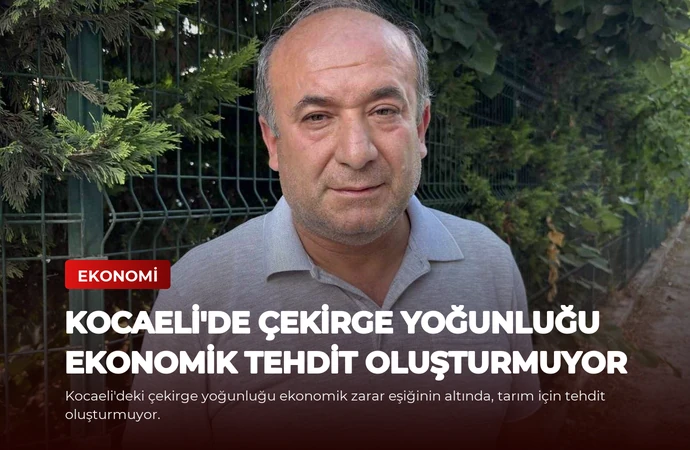 news card 5139ebec090ebe7f