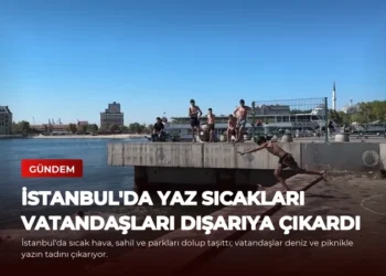 news card 52f7f6030d56db16