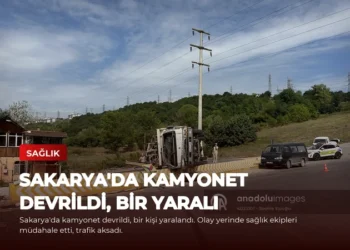 news card 59d47daf76bed11a