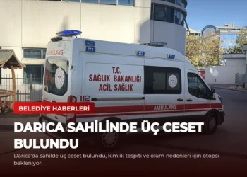 news card 5a287fc544f3ac8d