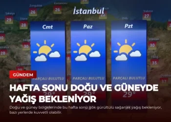 news card 628602df662b89a5