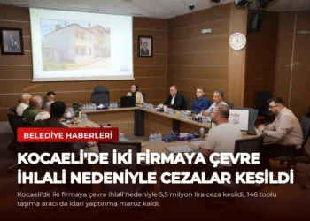 news card 652028bff44b84fb