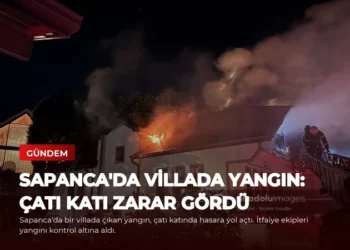 news card 65b9bb24ddab5160
