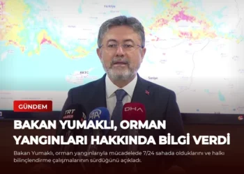 news card 65f9b647c0643b3f