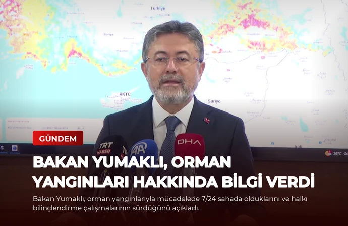 news card 65f9b647c0643b3f