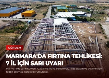 news card 6638a984ea614d86