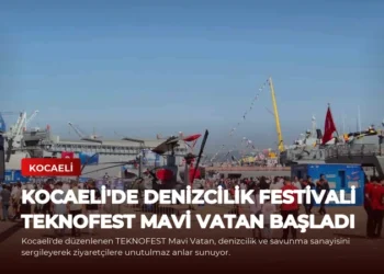 news card 66ca6a1f72d0fce2