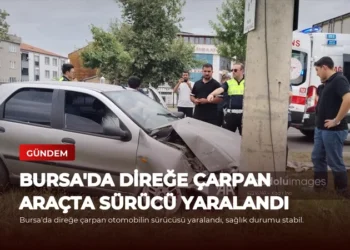 news card 699bf6d49b7a29fa
