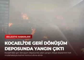news card 6a0488f3a6b4ab62
