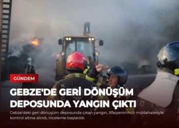 news card 6c0dea93b7d0ff89