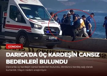 news card 703576e8b9d15321