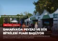 news card 715799630ab0d5f2