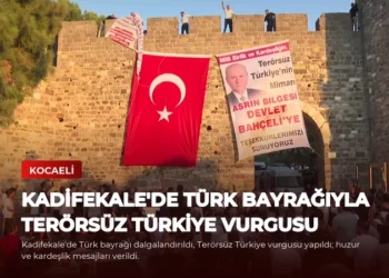 news card 726658ea7b819846