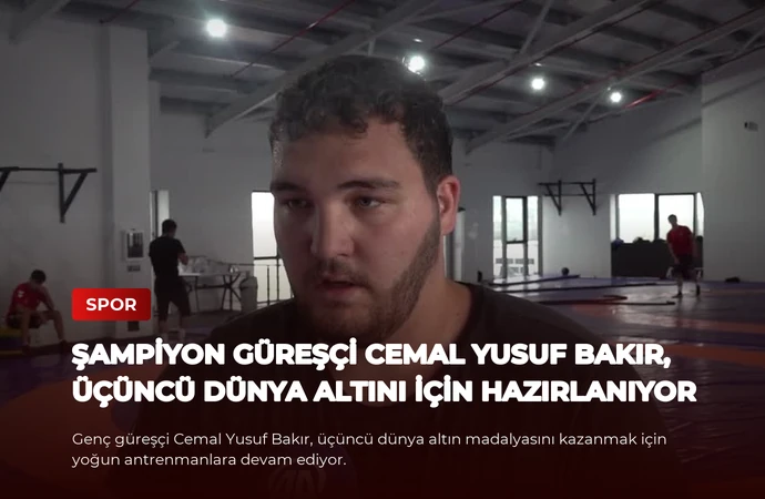 news card 738d96848f11b713