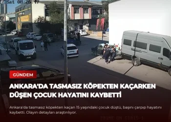 news card 74c12908b54e1229