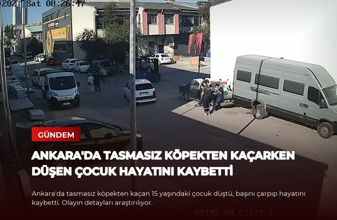 news card 74c12908b54e1229