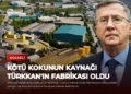 news card 7512565bb4c82cc4