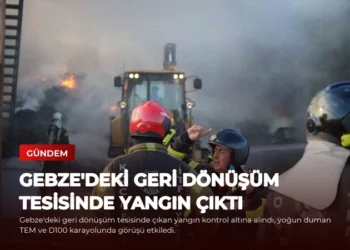 news card 7851725e5636c25b
