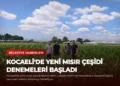 news card 79312918cb4caebc