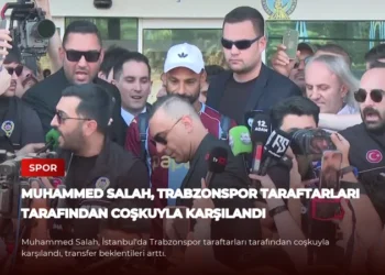 news card 7a867875a913a85b