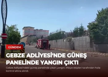 news card 7e0fbe21b5e0dd50
