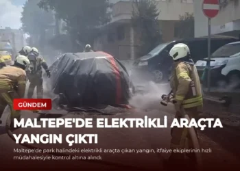 news card 7e441ce703146040