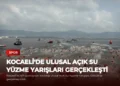 news card 7e9085edb2bd27dc