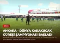 news card 823d3ac43b11775a