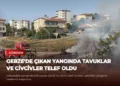 news card 826f195f7ec93144