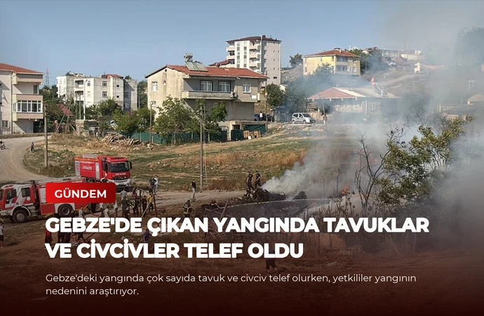 news card 826f195f7ec93144