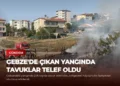 news card 83abd91875147f65
